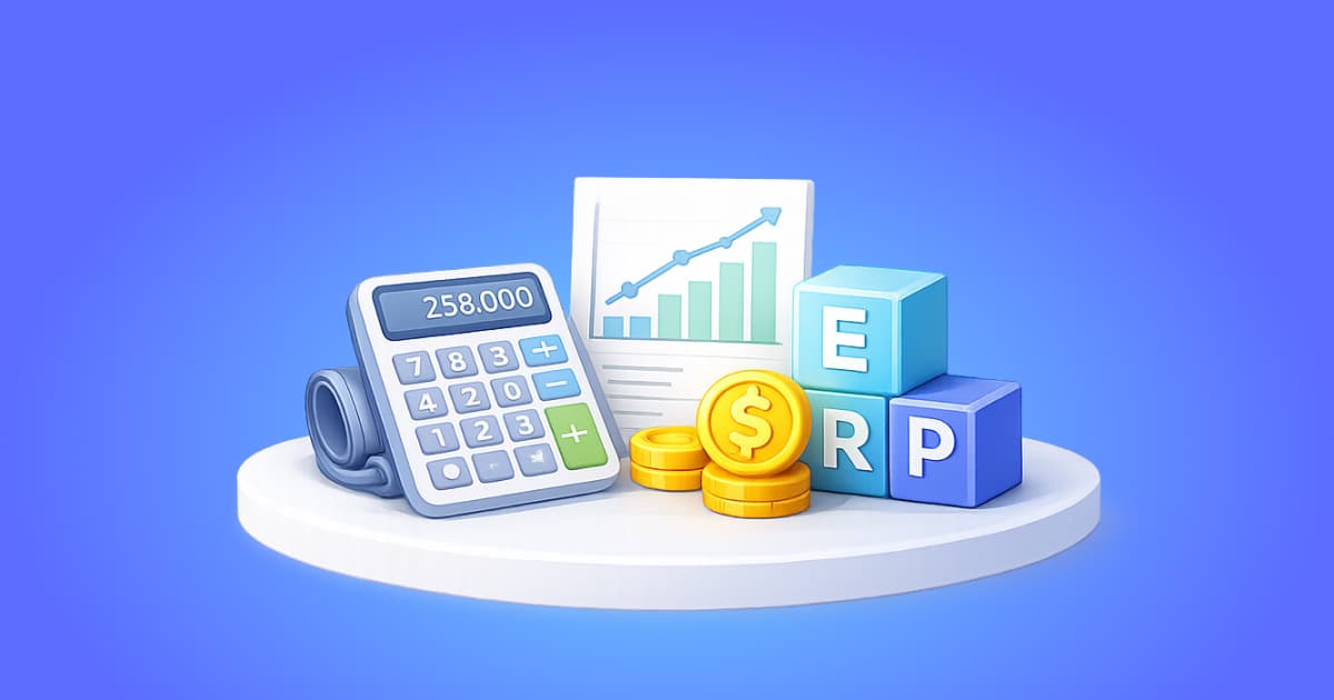 What Shapes the ERP Implementation Budget
